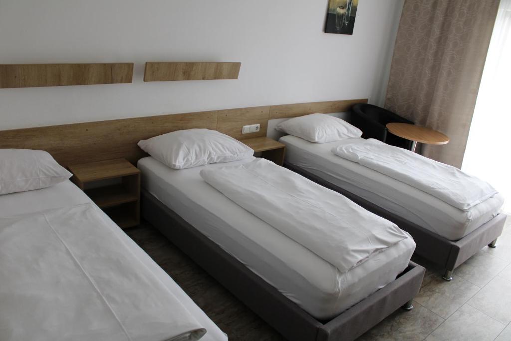 Hotel Alte Innbrücke - Neuhaus am Inn - Studio Apartment 3 Beds With Balcony