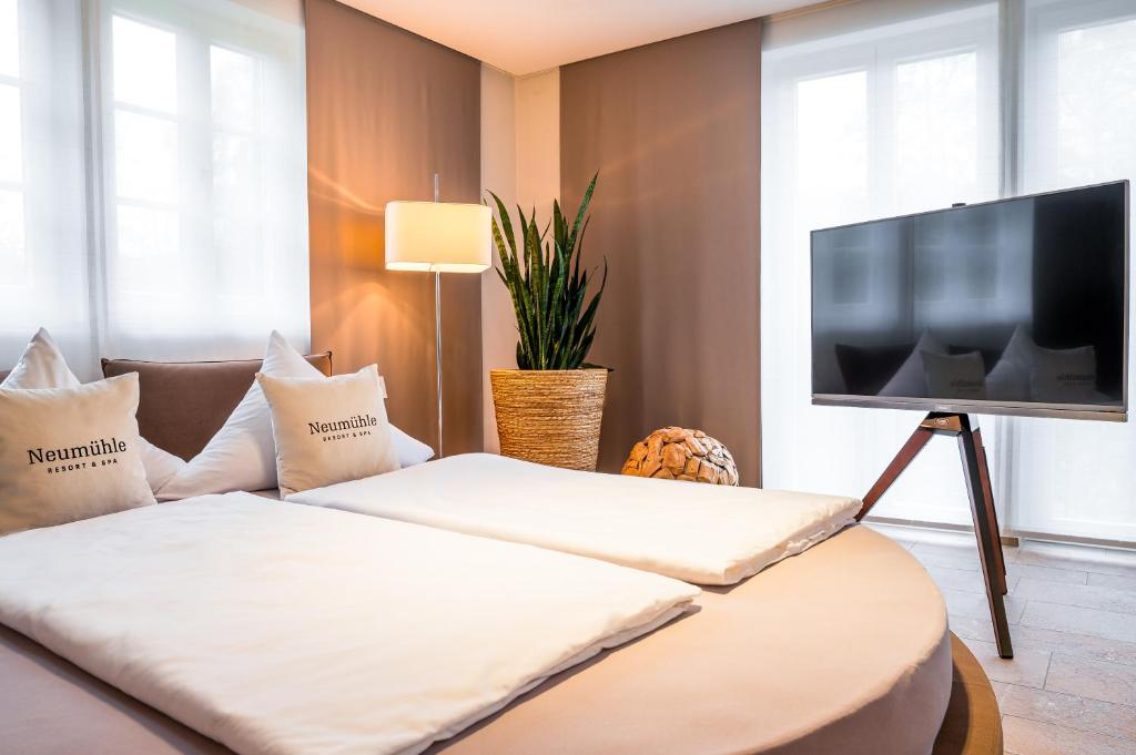 TV a/nebo společenská místnost v ubytování Neumühle Resort & Spa