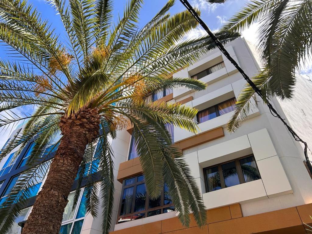 una palmera frente a un edificio en HJS Guest House - The majestic Loft en Las Palmas de Gran Canaria