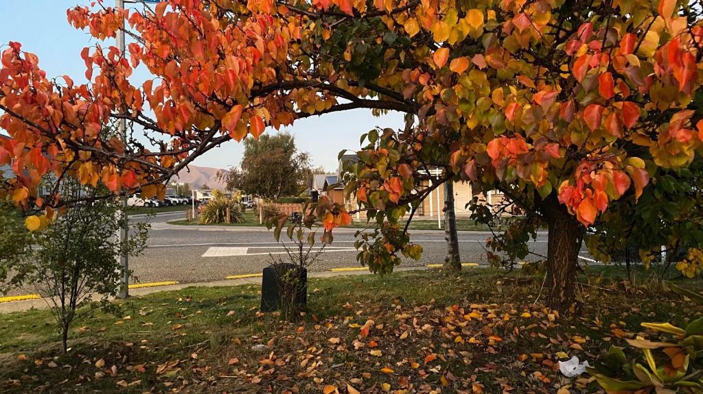 Qt inntouch - Resim 42