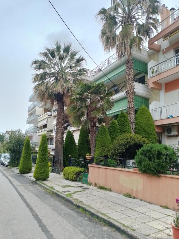 Studio Apollonia - 7