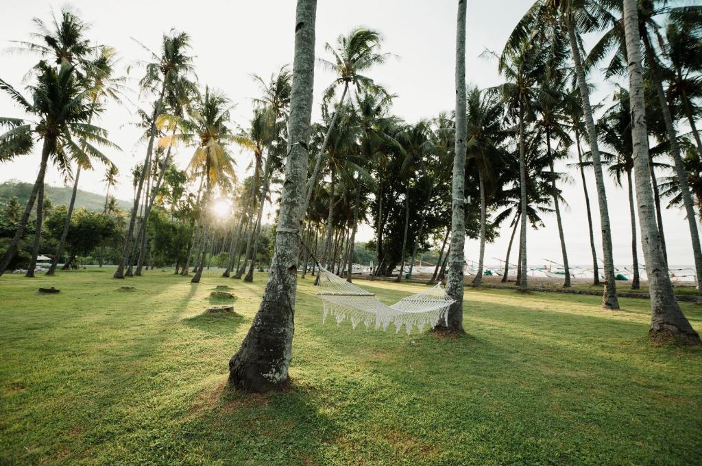 A garden outside The Kayana Beach Lombok