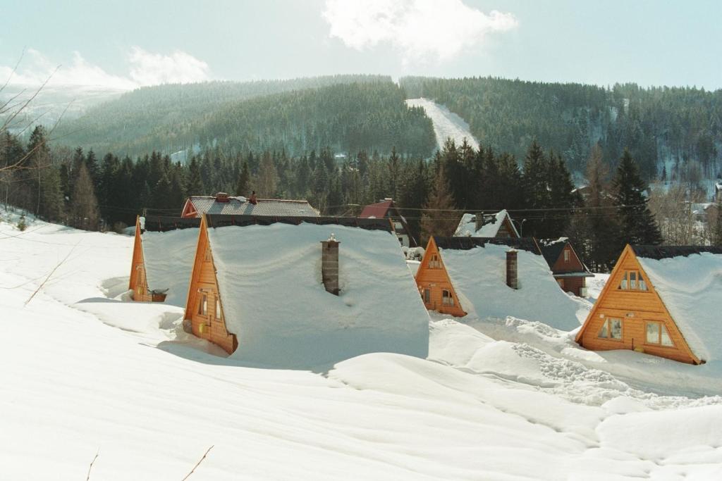 eine Gruppe von schneebedeckten Häusern in der Unterkunft DOMKI CZYRNA SZCZYRK in Szczyrk