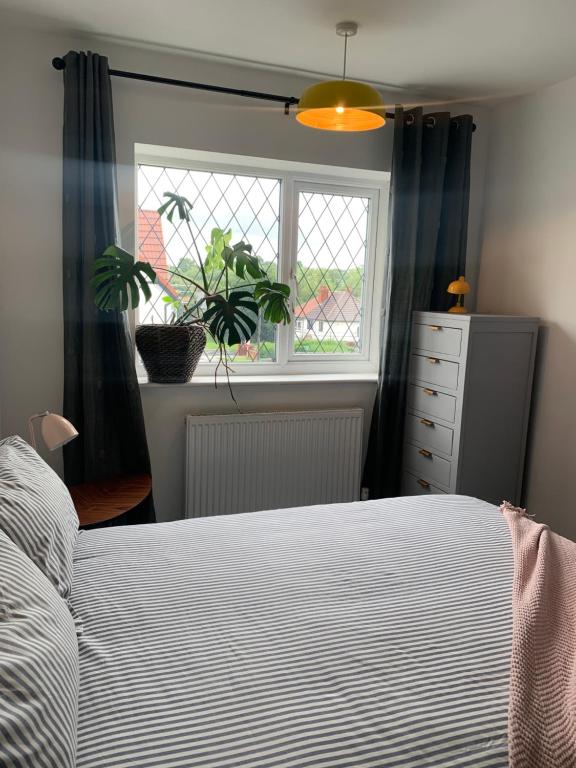 Roundhay Roman Avenue Stay