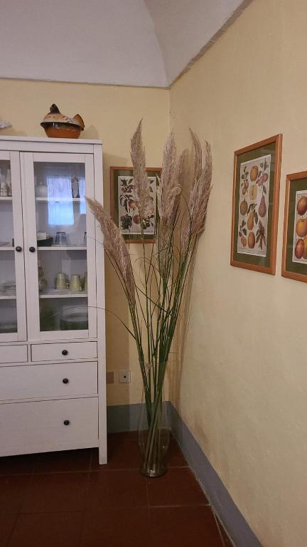 Fotografie z fotogalerie ubytování Luisa in Palazzo Bianchi v destinaci Parma