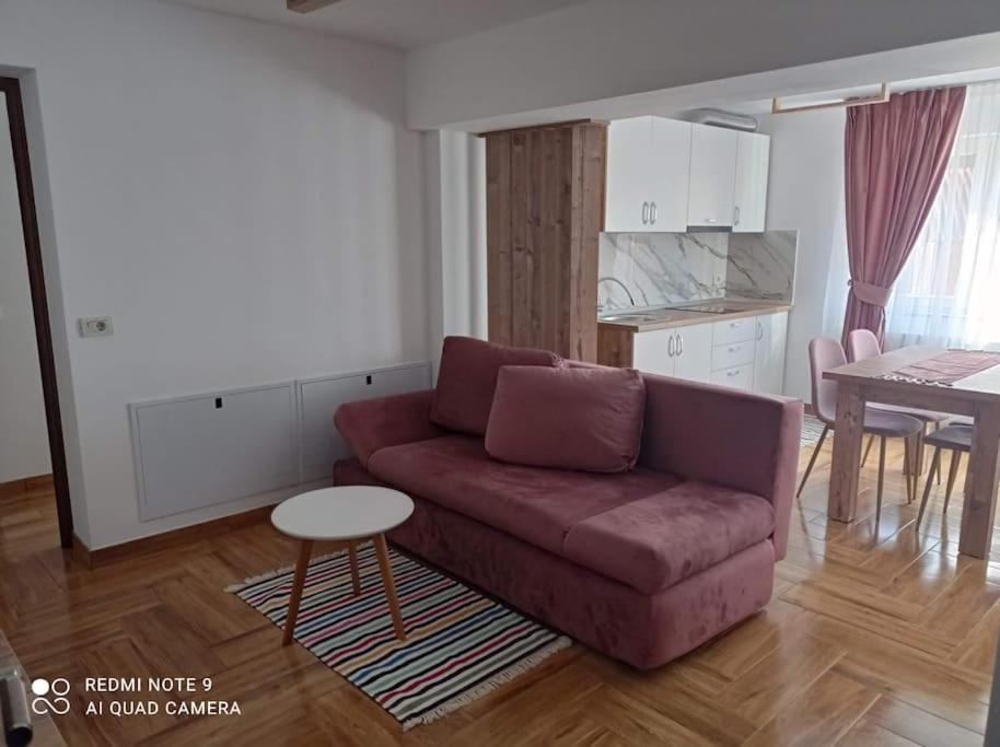 een woonkamer met een bank en een tafel bij Apartament Cristina in Borşa