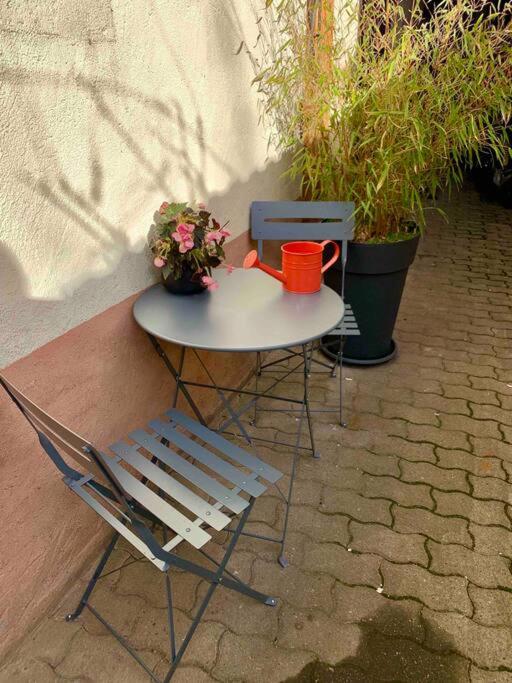 Studio cosy Kaysersberg centre – photo 14