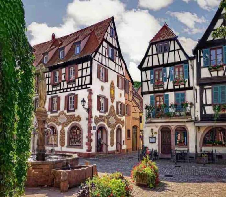 Studio cosy Kaysersberg centre – photo 20