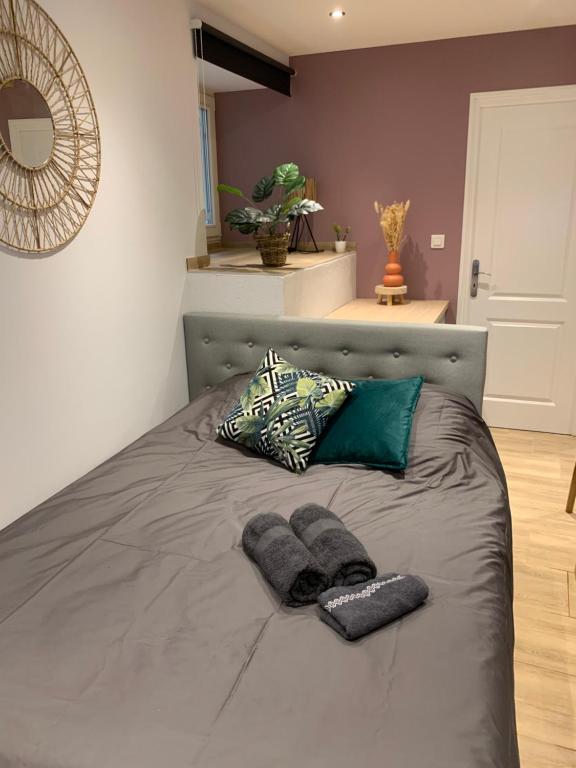 een bed met twee kussens en twee handdoeken erop bij Studio cosy Kaysersberg centre in Kaysersberg