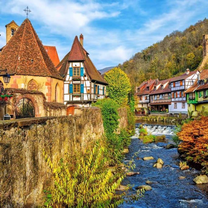 Studio cosy Kaysersberg centre – photo 24