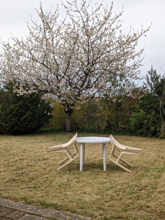 a picnic table and a bench in front of a tree at Au petit chalet d&#39;Illiers Combray in Illiers