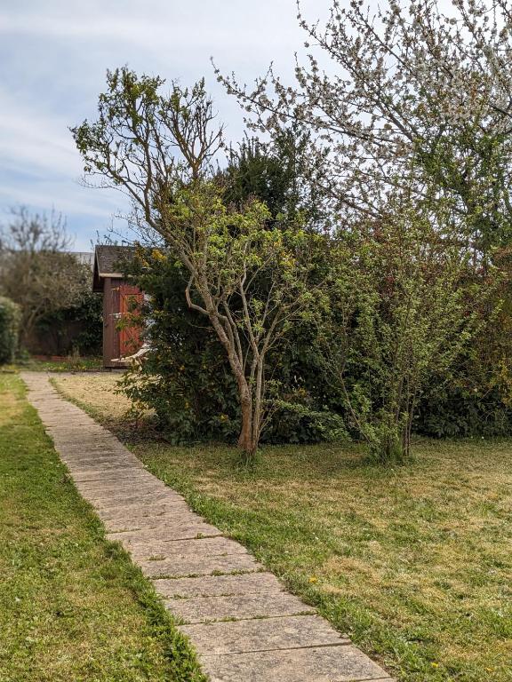 a stone path in a field with a tree at Au petit chalet d&#39;Illiers Combray in Illiers