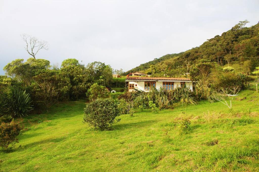 Quinto Sol, Carmen de Viboral (updated prices 2024)