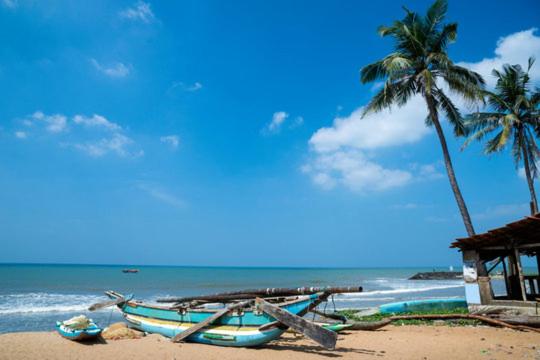 un par de barcos en una playa con palmeras en Aloe Vera Villa, en Negombo