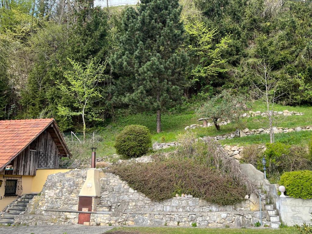 Aed väljaspool majutusasutust Das Winzerhaus am Grassnitzberg