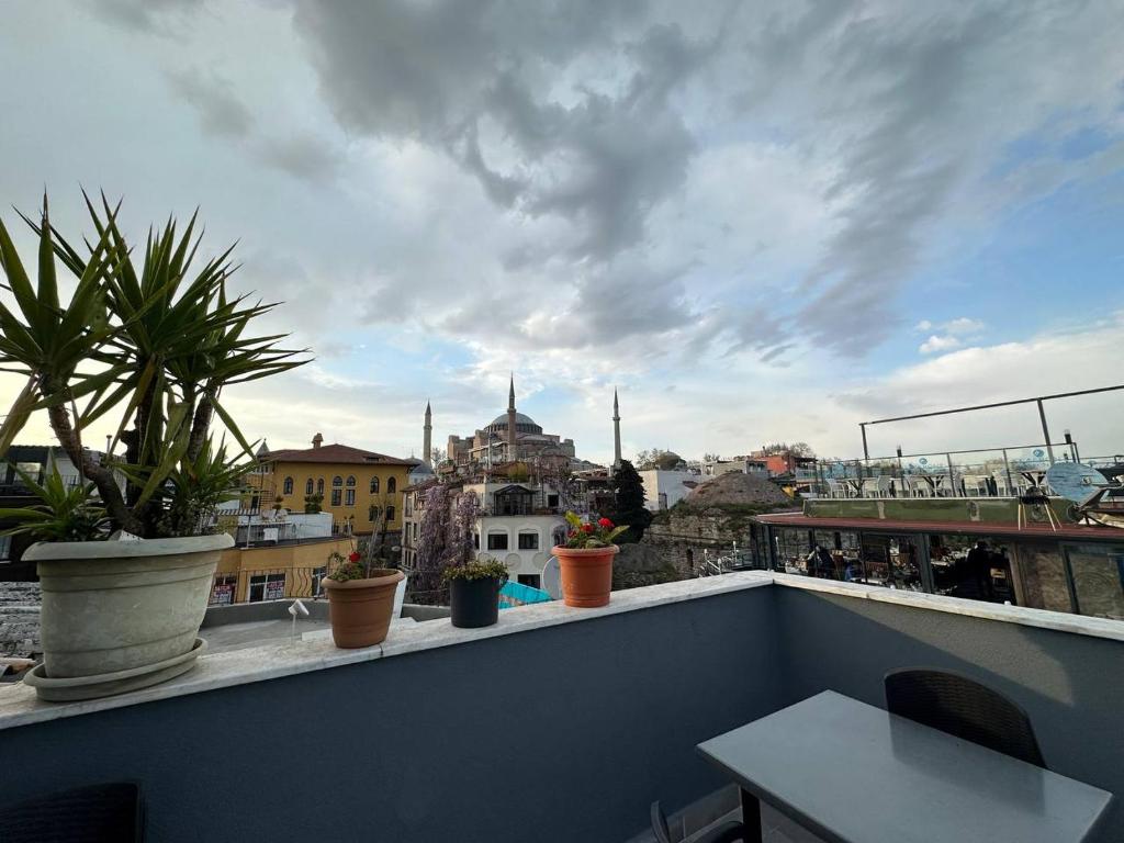 لابی و فضای عمومی Hanedan Hotel - تصویر ۵