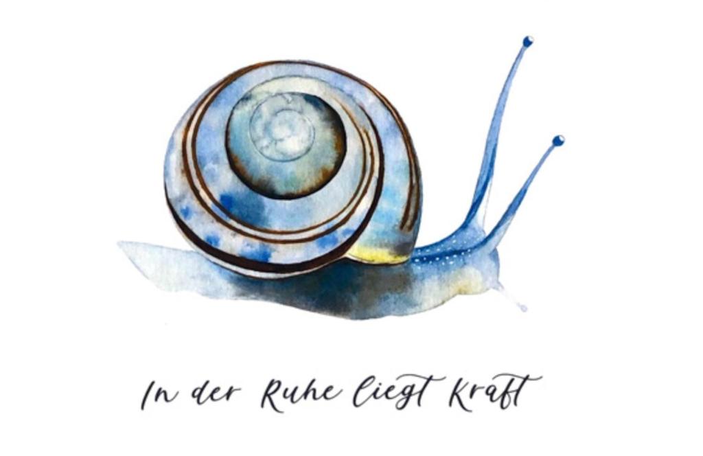 an ever rule ever kelp snail in watercolor at Moulin de la Rouchotte in Frétigney-et-Velloreille