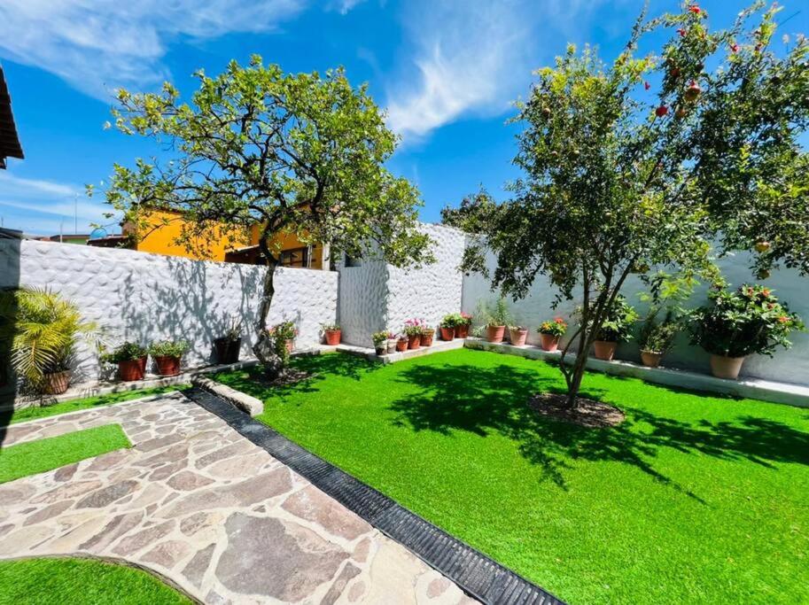 a garden with grass and trees and a white wall at Residencia Ibarra in Santa Cruz de la Soledad