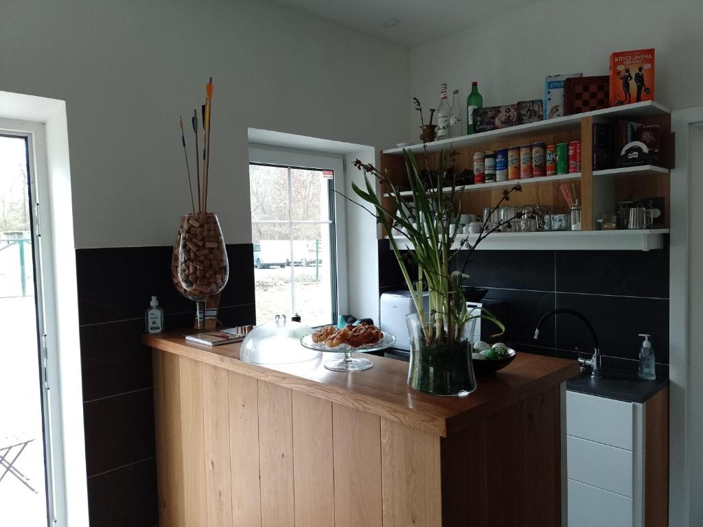 a kitchen with a counter with a vase of flowers on it at Penzion Litohlavy 17 - Na samotě u lesa in Králŭv Dvŭr