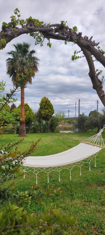 Dyada Home - отзывы и видео