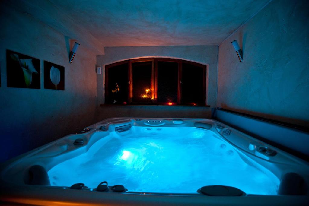 Hotel Dwór Karolówka - Resim 31