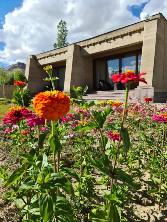 a garden with flowers in front of a building at Ladakh Eco Resort in Leh