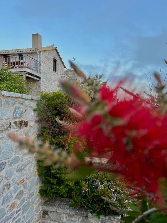 Achelatis Traditional Guest Houses - 8