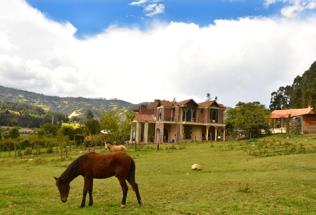a horse grazing in a field in front of a house at Hotel Campestre Villa Los Duraznos in Paipa