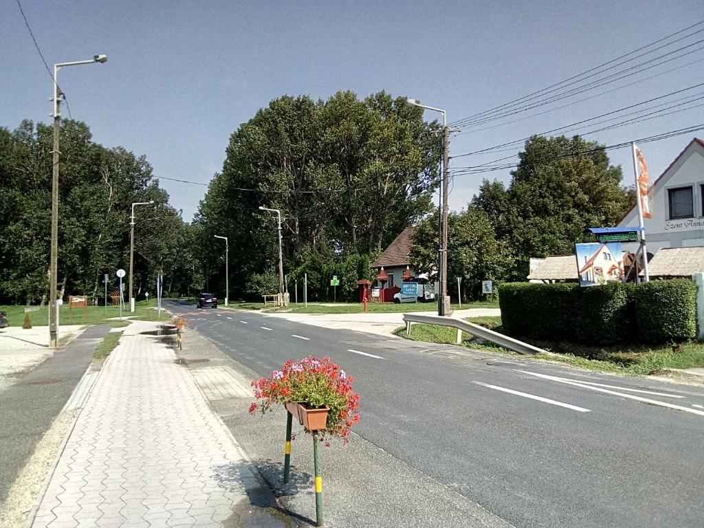 een boeket bloemen aan de kant van een straat bij F 106 Vendégház in Fertőhomok