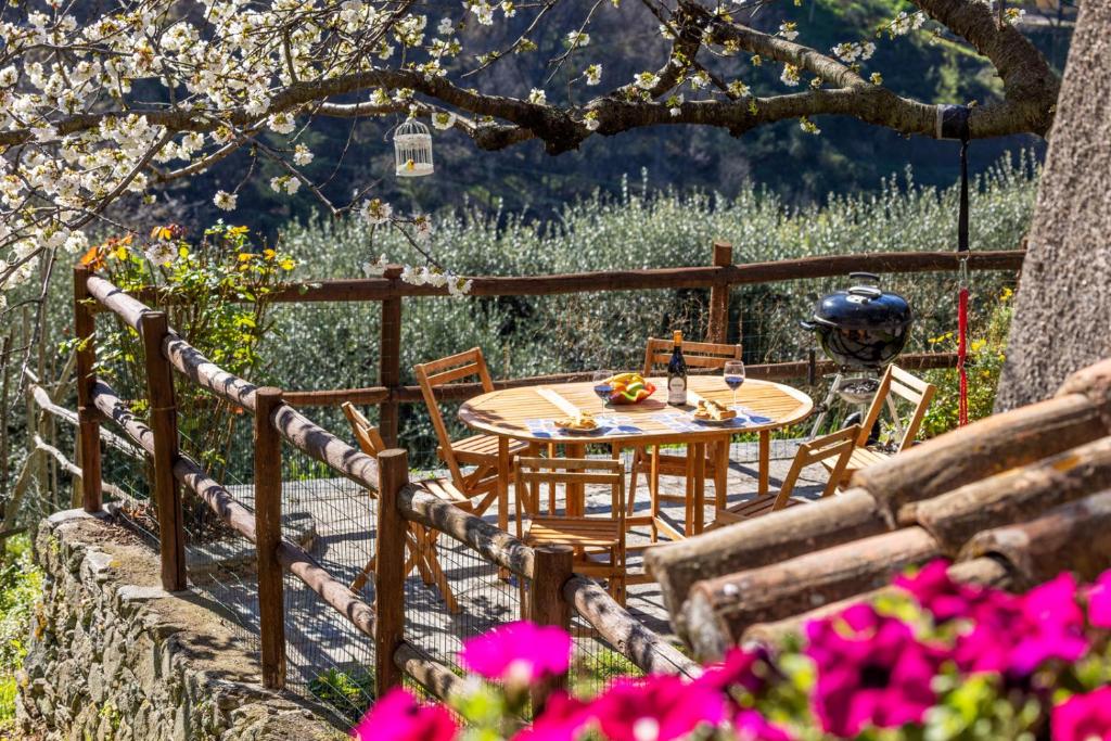 einen Tisch und Stühle in einem Garten mit rosa Blumen in der Unterkunft Tipica casa antica ligure – Ca' del Ciliegio in Calice Ligure