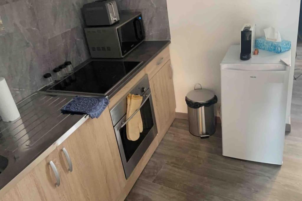 Kuchyň nebo kuchyňský kout v ubytování Appartement hyper centre 1