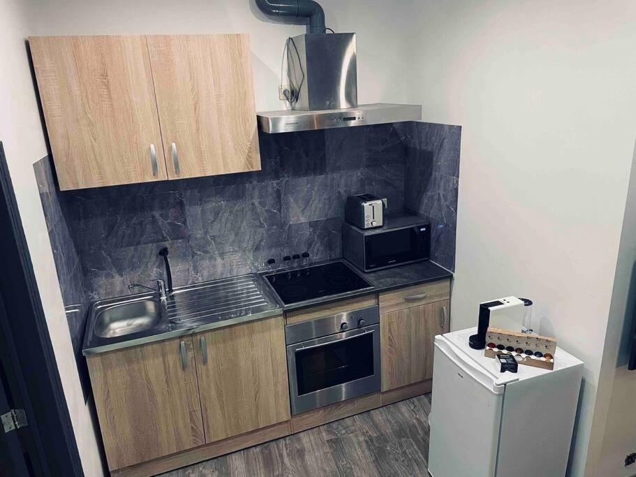 Kuchyň nebo kuchyňský kout v ubytování Appartement hyper centre 1