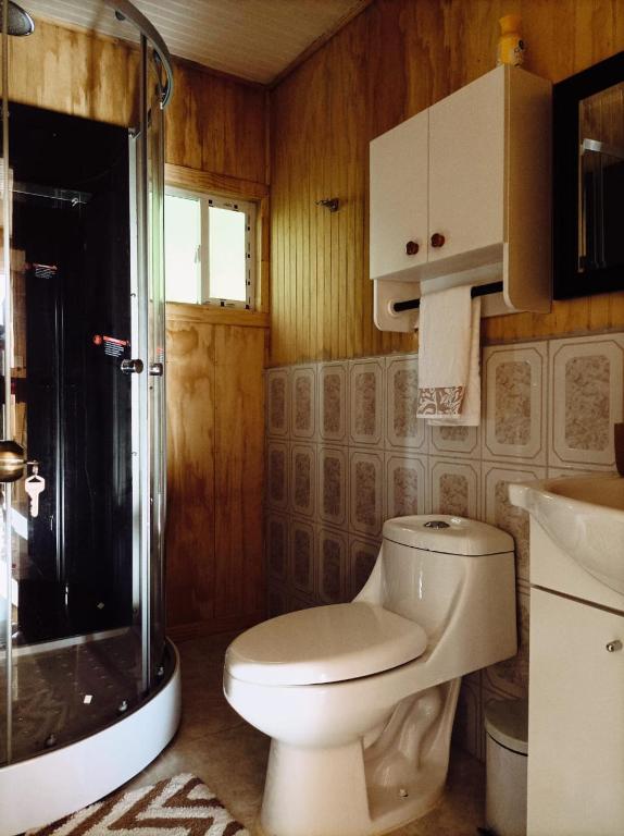 a bathroom with a toilet and a shower and a sink at Cabañas Aulen Chepu Chiloe in Ancud