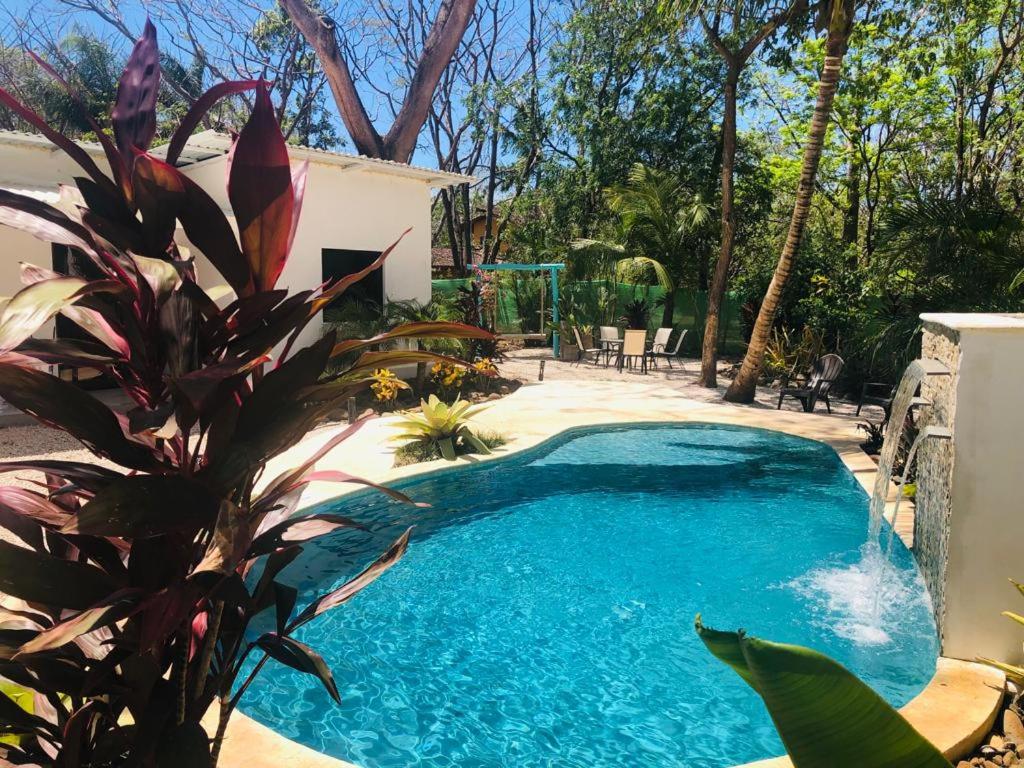 una piscina con una planta al lado de una casa en Playa Negra Surf Lodge, en Playa Negra