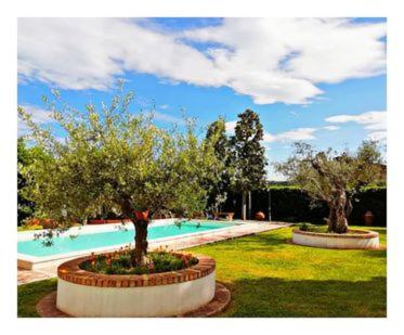 una piscina con due alberi in un cortile di Villa Paola a Grottammare