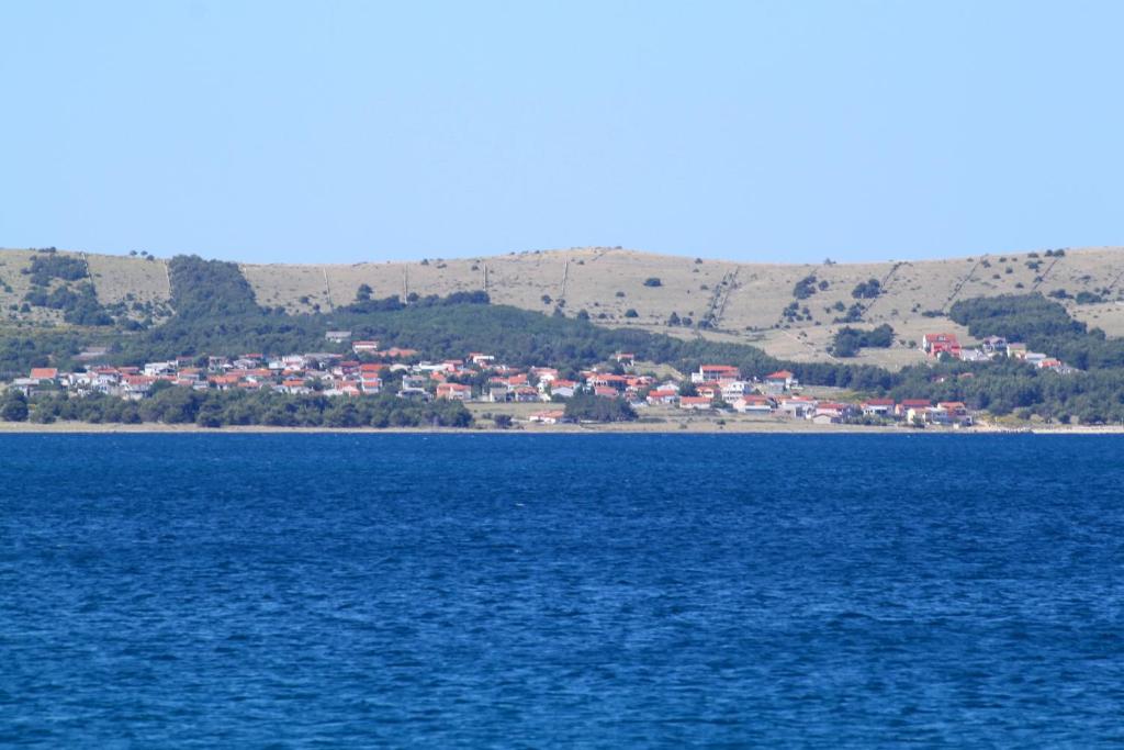 Fotografia z galérie ubytovania Apartments by the sea Vir - 13801 vo Viry
