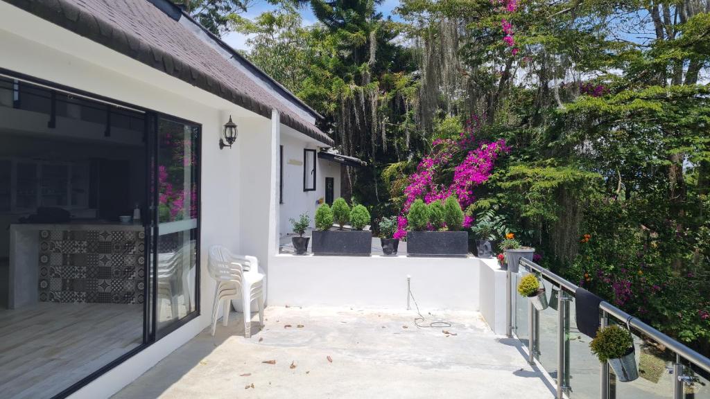 Zahrada ubytování Casa Campestre Llanogrande 420 Friendly