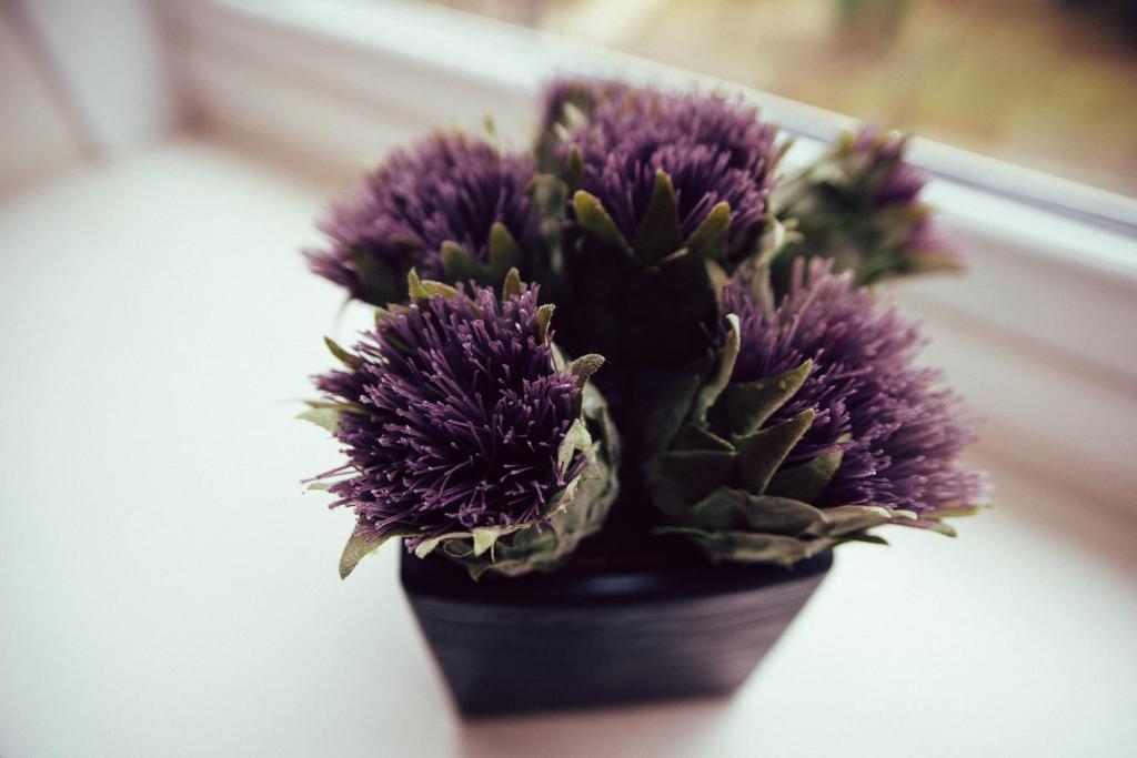 Palm Court Hotel - Resim 29