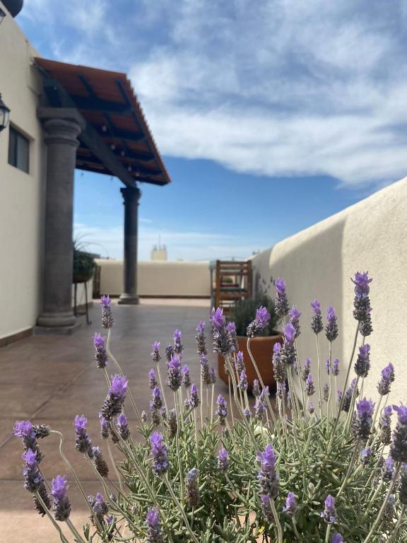Fotografie z fotogalerie ubytování Hotel La Lejona v destinaci San Miguel de Allende