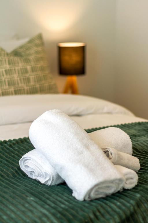 Indulge in Christchurch Hagley Park 2 bed 2 bath - Resim 23