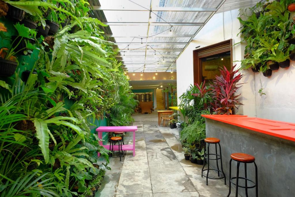 an indoor garden with pink stools and plants at Snooze Malang in Malang