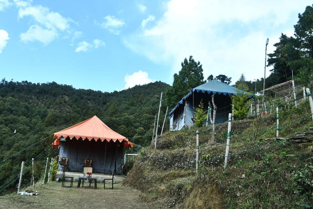 Příroda nedaleko luxury tent