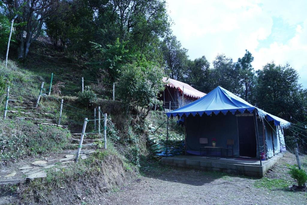 Příroda nedaleko luxury tent