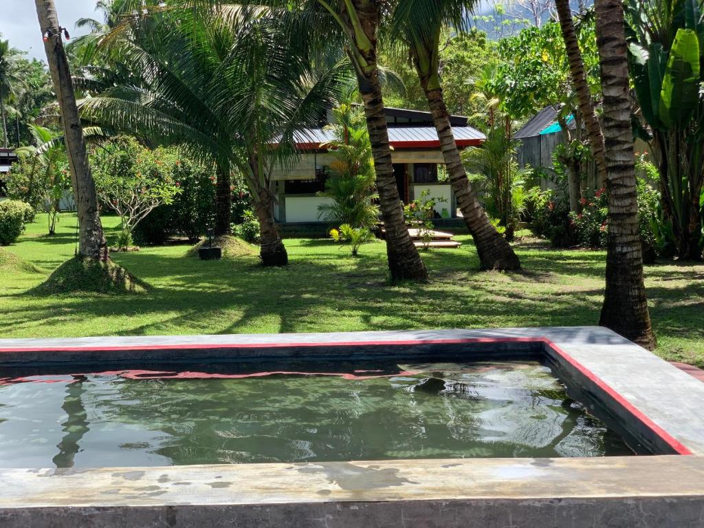 a pool of water in a yard with palm trees at SomeWhere Else Boutique Resort in Mambajao