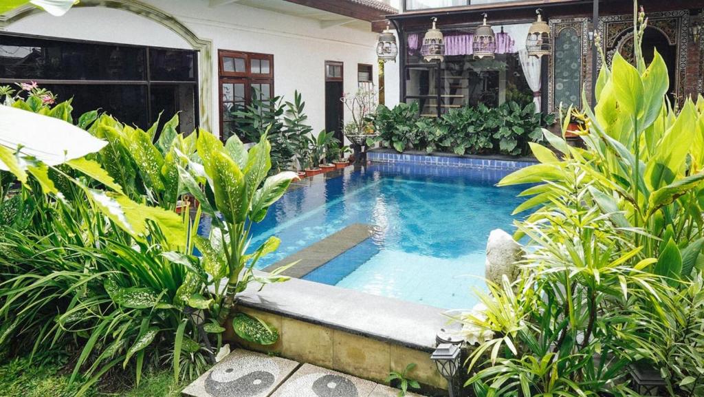 Bazén v ubytování Koolkost Syariah near RSUD Mataram Lombok nebo v jeho okolí
