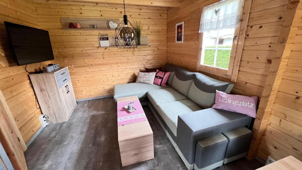 a room with a couch and a tv in a cabin at Haeuslein-Waldesruh in Muldenberg