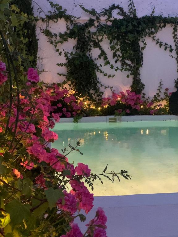 a view of a pool with pink flowers at Patios del Agua in El Puerto de Santa María