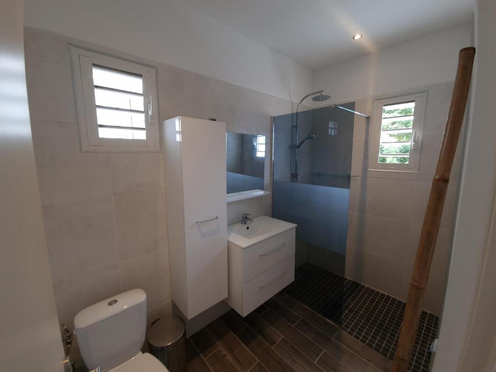 a white bathroom with a toilet and a shower at La Terrasse des manguiers in Saint-Denis
