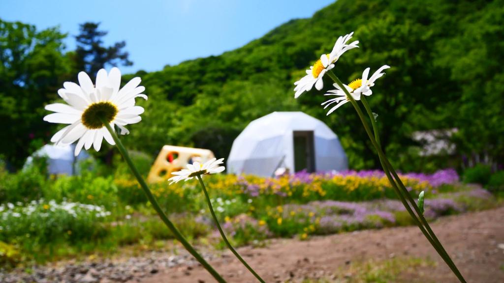 Zahrada ubytování glampark Otaru Hanaemi Hokkaido