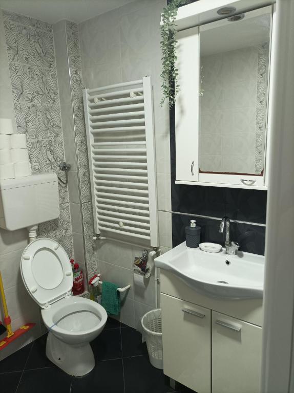 Koupelna v ubytování ARIANA apartman